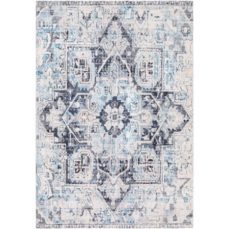 Surya Apricity - 18 Sample Area Rug" APY1014-1616